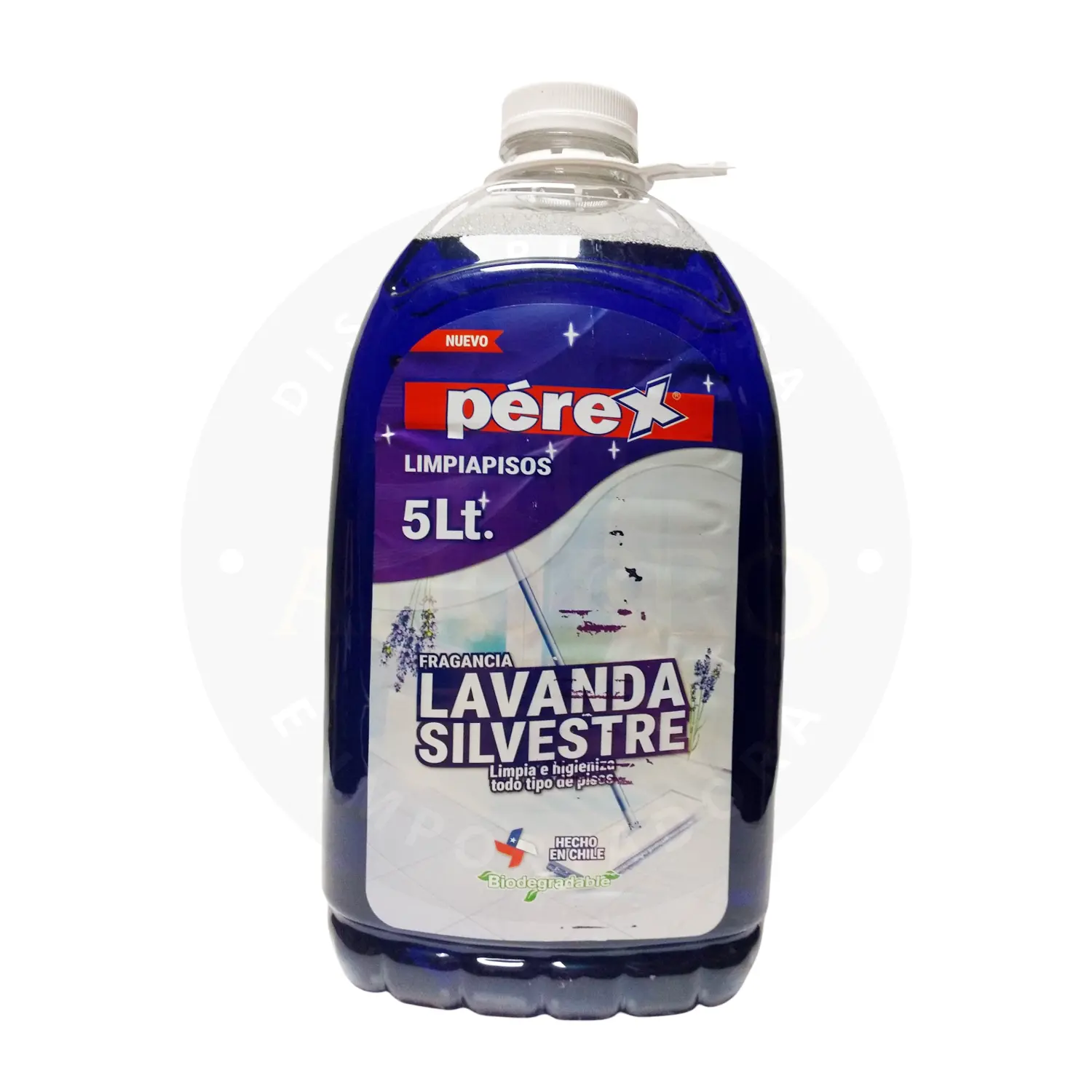 Lavanda